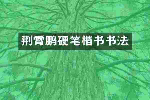 荆霄鹏硬笔楷书书法
