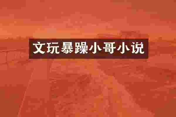 文玩暴躁小哥小说