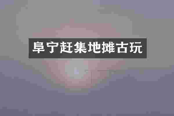 阜宁赶集地摊古玩