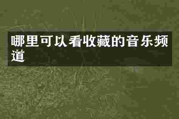 哪里可以看收藏的音乐频道