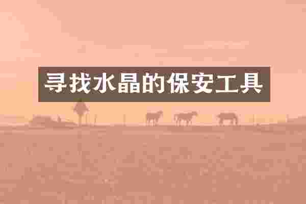 寻找水晶的保安工具