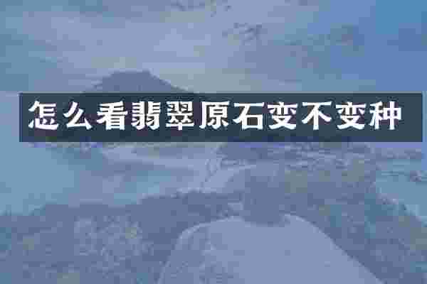 怎么看翡翠原石变不变种
