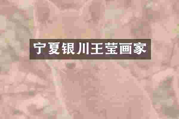 宁夏银川王莹画家