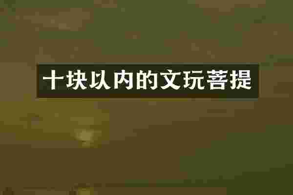 十块以内的文玩菩提