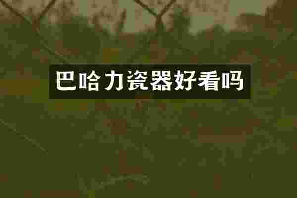 巴哈力瓷器好看吗