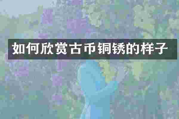 如何欣赏古币铜锈的样子