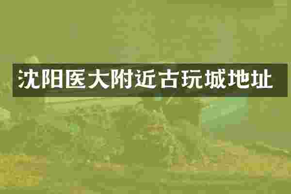 沈阳医大附近古玩城地址