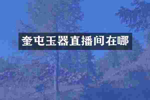 奎屯玉器直播间在哪