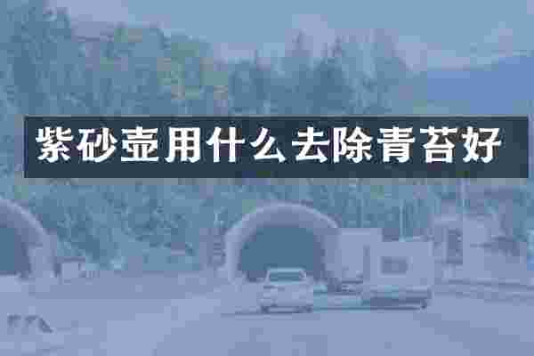 紫砂壶用什么去除青苔好