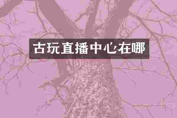 古玩直播中心在哪