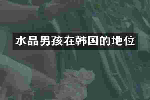 水晶男孩在韩国的地位