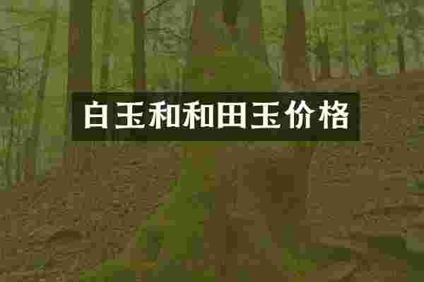 白玉和和田玉价格