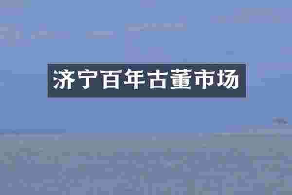 济宁百年古董市场