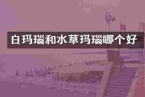 白玛瑙和水草玛瑙哪个好
