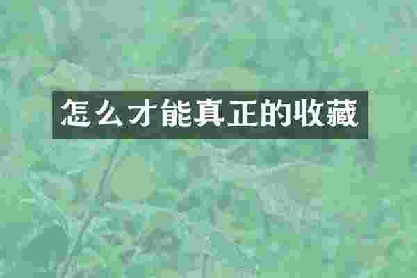 怎么才能真正的收藏