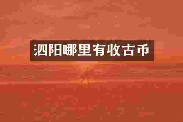 泗阳哪里有收古币