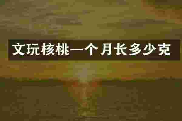 文玩核桃一个月长多少克