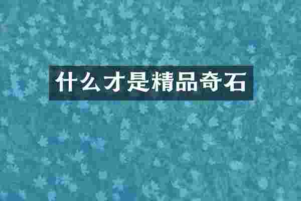 什么才是精品奇石