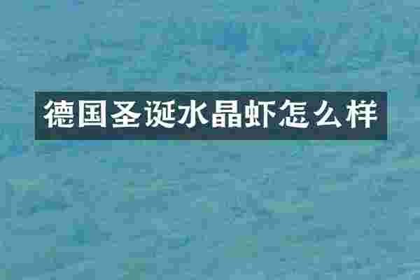 德国圣诞水晶虾怎么样