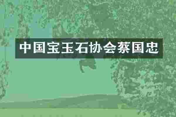 中国宝玉石协会蔡国忠