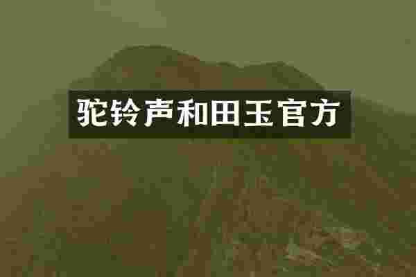 驼铃声和田玉官方