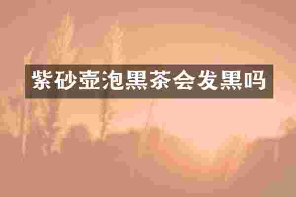 紫砂壶泡黑茶会发黑吗