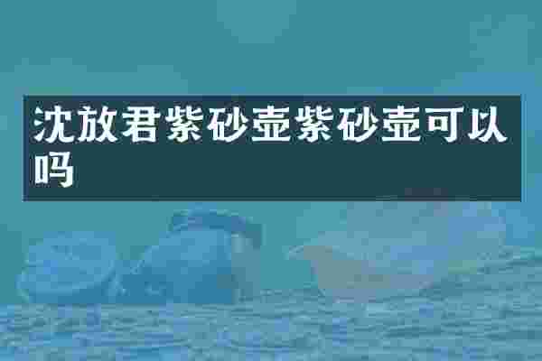沈放君紫砂壶紫砂壶可以吗