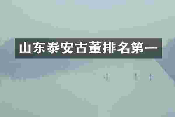山东泰安古董排名第一