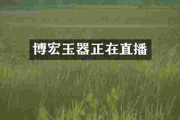 博宏玉器正在直播
