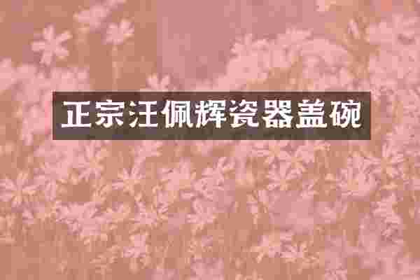 正宗汪佩辉瓷器盖碗