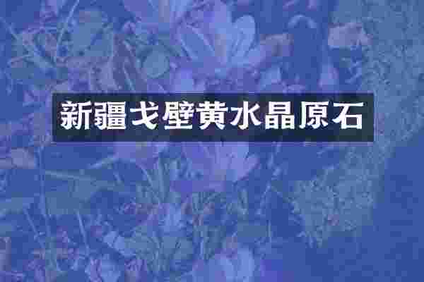 新疆戈壁黄水晶原石