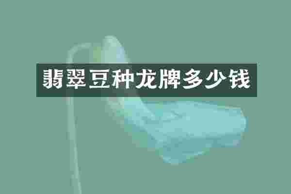 翡翠豆种龙牌多少钱