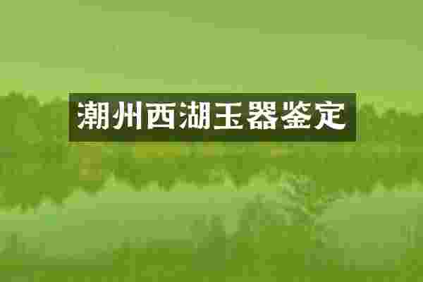 潮州西湖玉器鉴定
