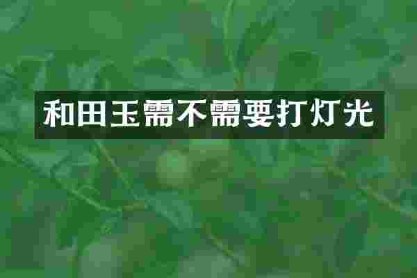 和田玉需不需要打灯光