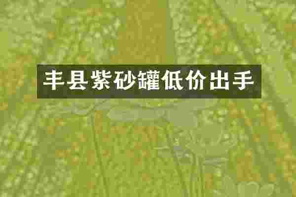 丰县紫砂罐低价出手