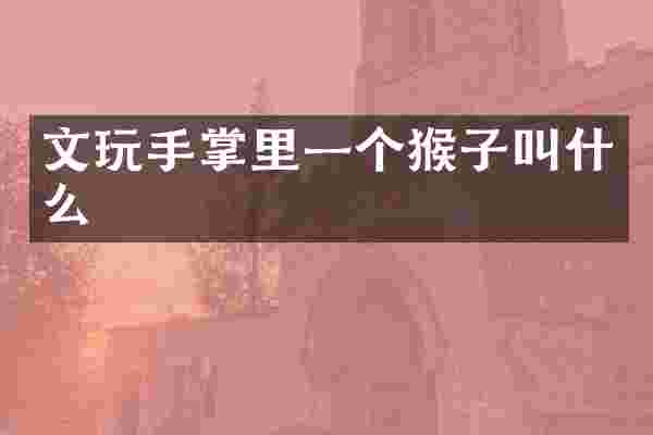 文玩手掌里一个猴子叫什么