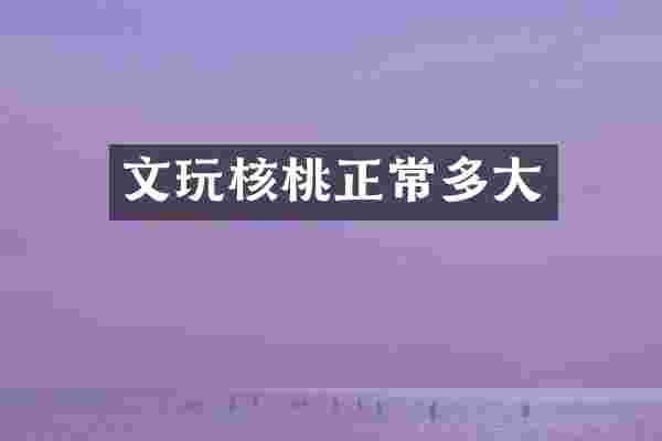 文玩核桃正常多大