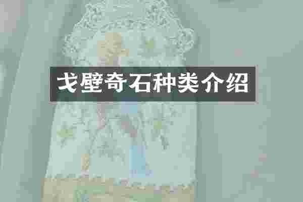 戈壁奇石种类介绍