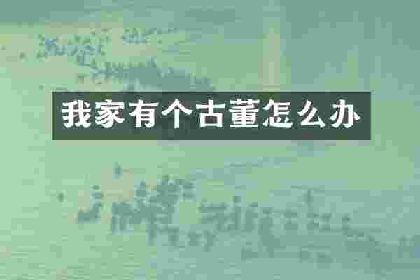 我家有个古董怎么办