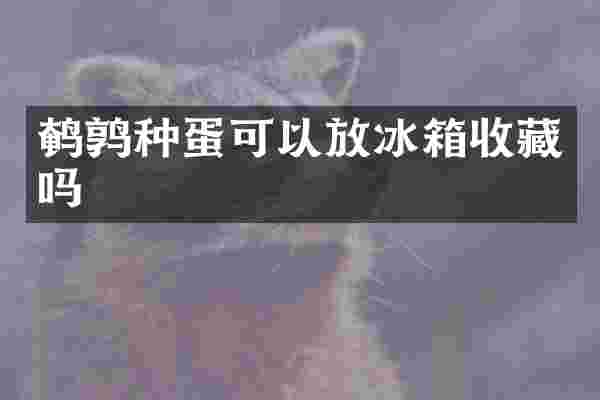 鹌鹑种蛋可以放冰箱收藏吗