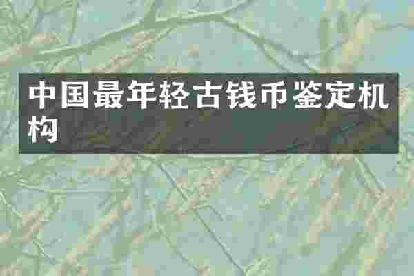 中国最年轻古钱币鉴定机构