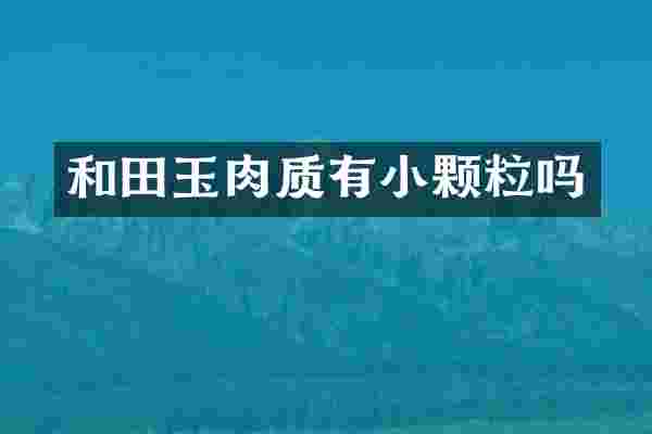 和田玉肉质有小颗粒吗