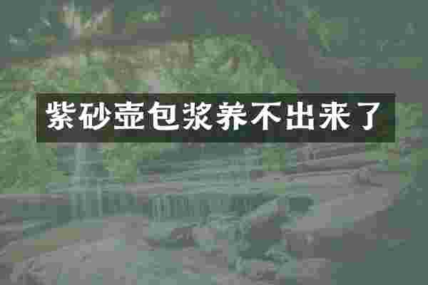 紫砂壶包浆养不出来了
