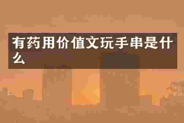 有药用价值文玩手串是什么
