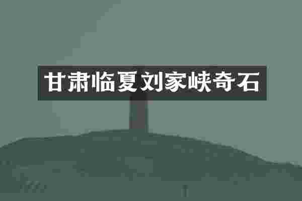 甘肃临夏刘家峡奇石