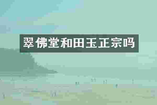 翠佛堂和田玉正宗吗