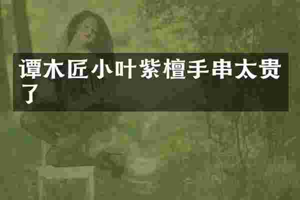 谭木匠小叶紫檀手串太贵了