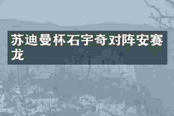 苏迪曼杯石宇奇对阵安赛龙