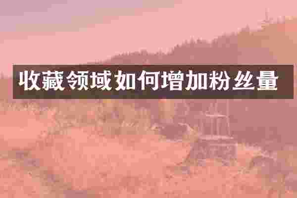 收藏领域如何增加粉丝量
