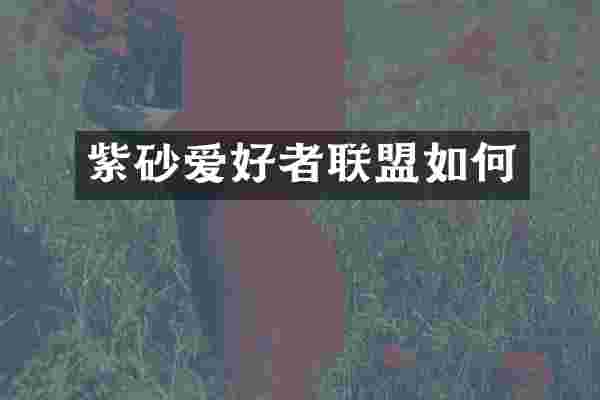 紫砂爱好者联盟如何